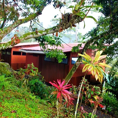 Villa Casitas Eco Bambú Cartago Exterior foto