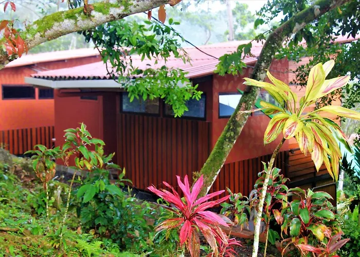 Casitas Eco Bambu