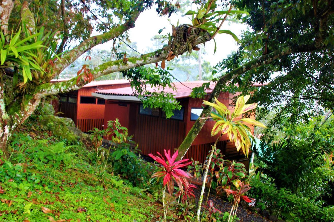 Casitas Eco Bambu Cartago