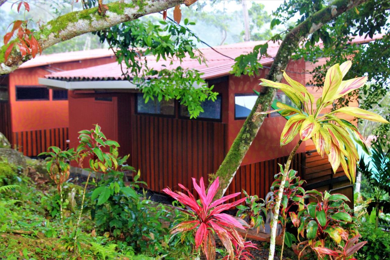 Casitas Eco Bambu
