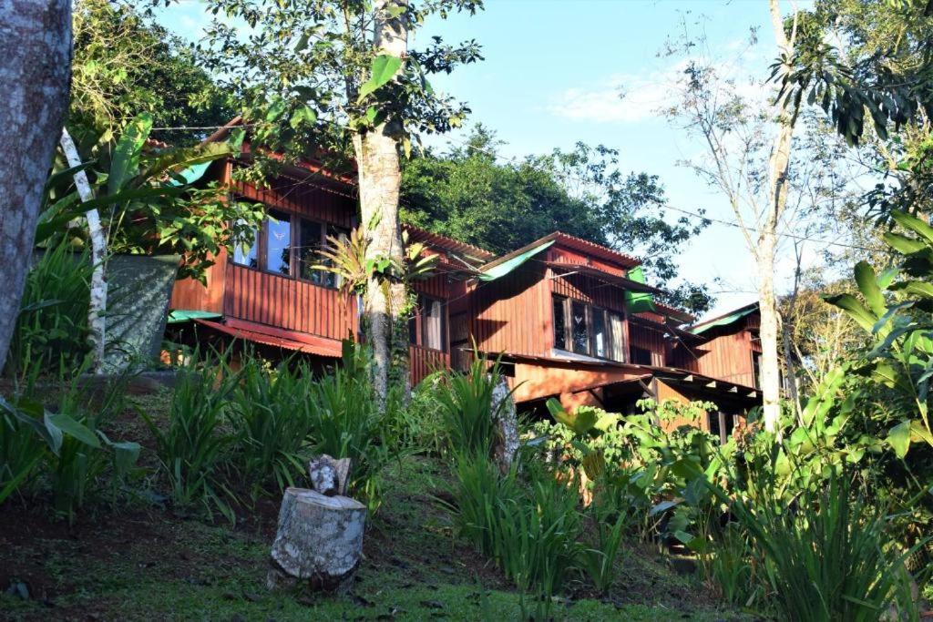 Casitas Eco Bambu Lodge *